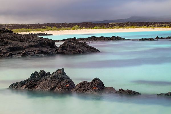 Jones, Adam 아티스트의 Lava rocks along tranquil shoreline of San Cristobal Island-Galapagos-Ecuador작품입니다.
